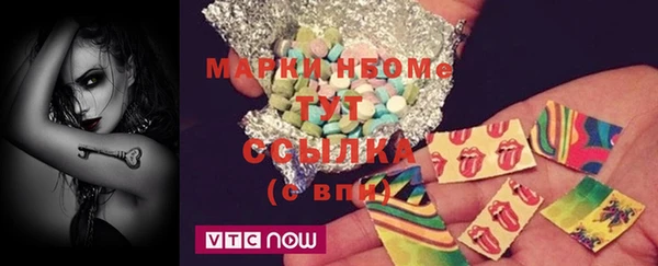 индика Елизово