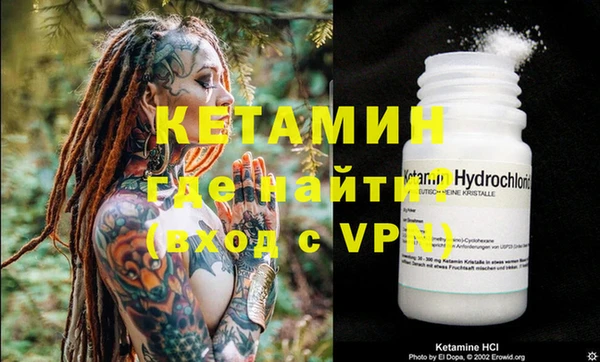 индика Елизово