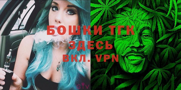 индика Елизово