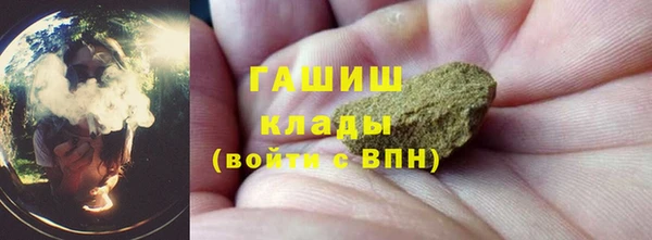 индика Елизово