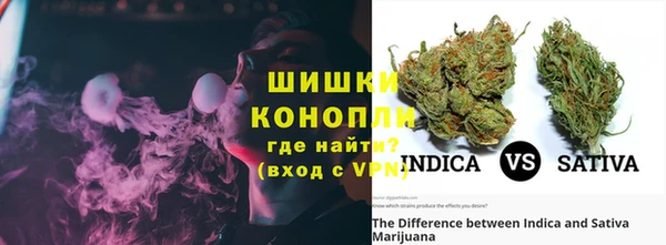 шишки Елабуга