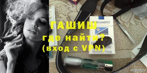 индика Елизово