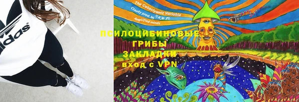 шишки Елабуга