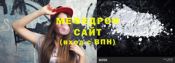индика Елизово