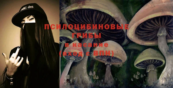 индика Елизово