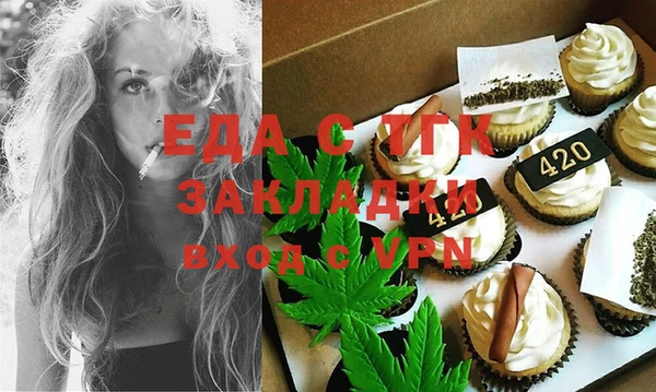 индика Елизово