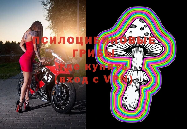 индика Елизово