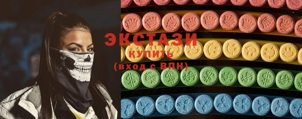 индика Елизово