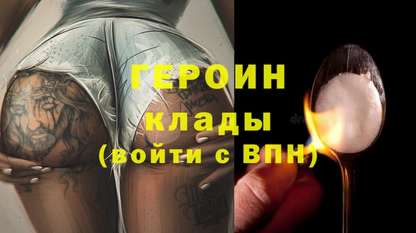 индика Елизово