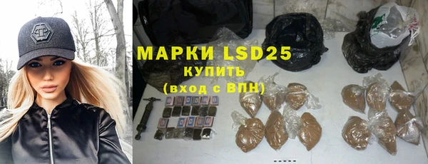 шишки Елабуга