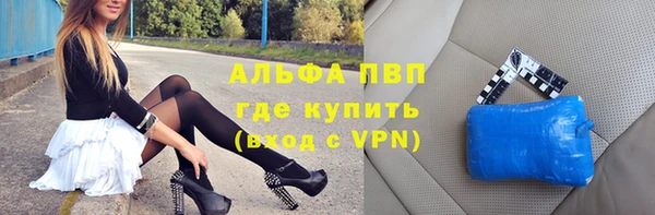 индика Елизово