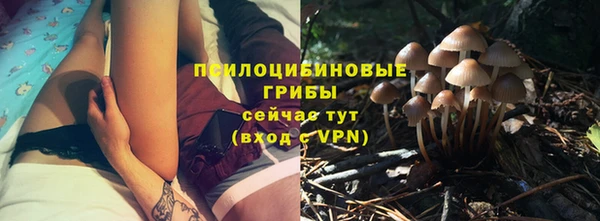 дмт Дмитровск
