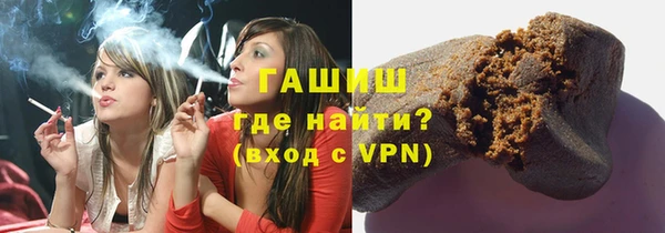 индика Елизово